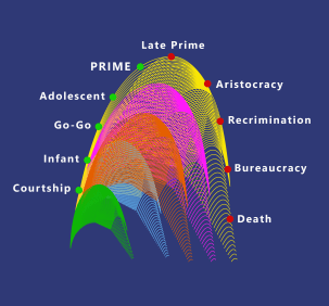 Organizational LifeCycle Stages - Adapted from Adizes: Corporate Lifecycles (Englewood Cliffs, NJ: Prentice Hall, 1988)